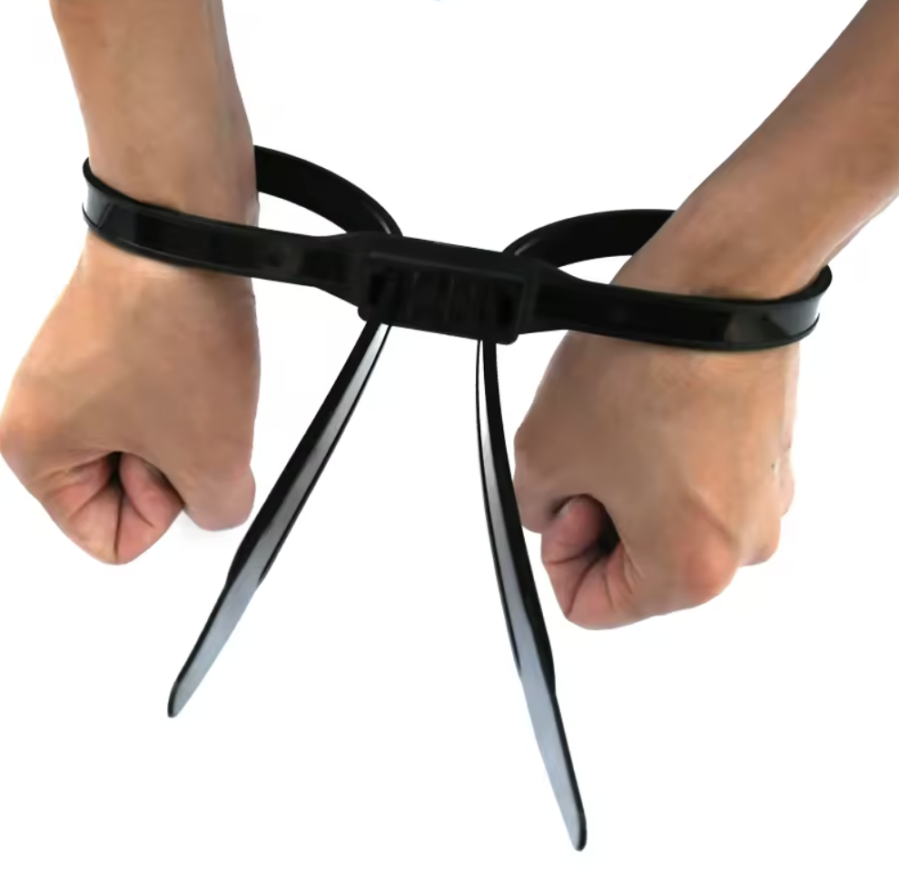 Passenger Restraints 2